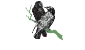 Apartmány U Havranů